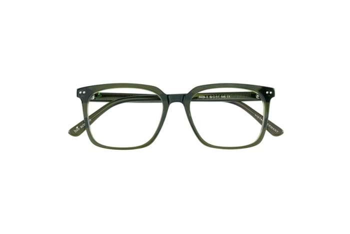 VISTAN 6609